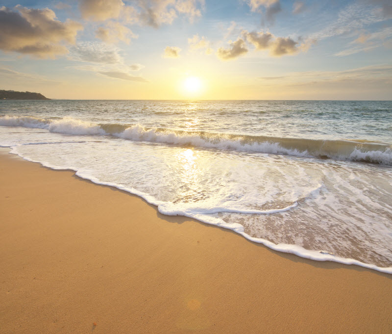 Sandy seashore during sunset