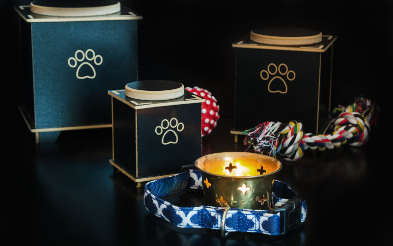 Cremation urn for pets