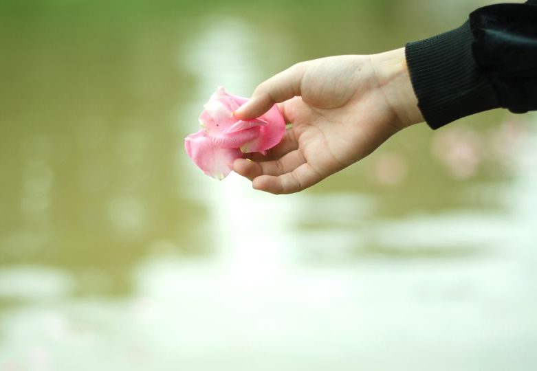 hand holding roses flowers scattering into water for water burial