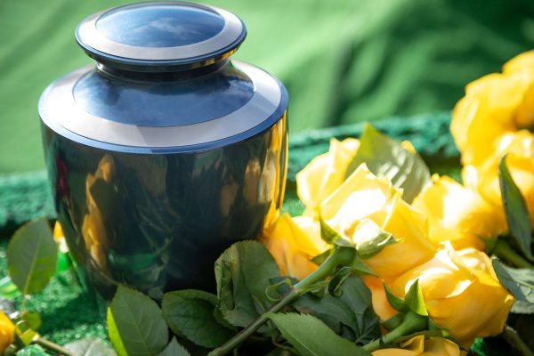 Water cremation – A personal preference